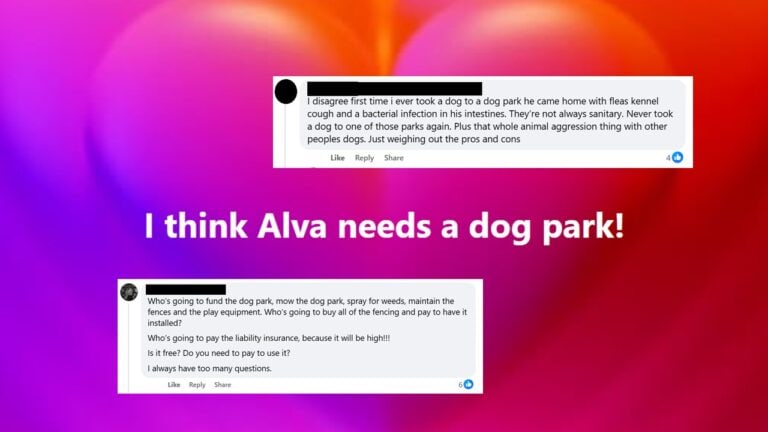 How to Prevent Negative Online Comments From Killing Your Small Town Idea: The dog park pile-on vs. the run club sign ups