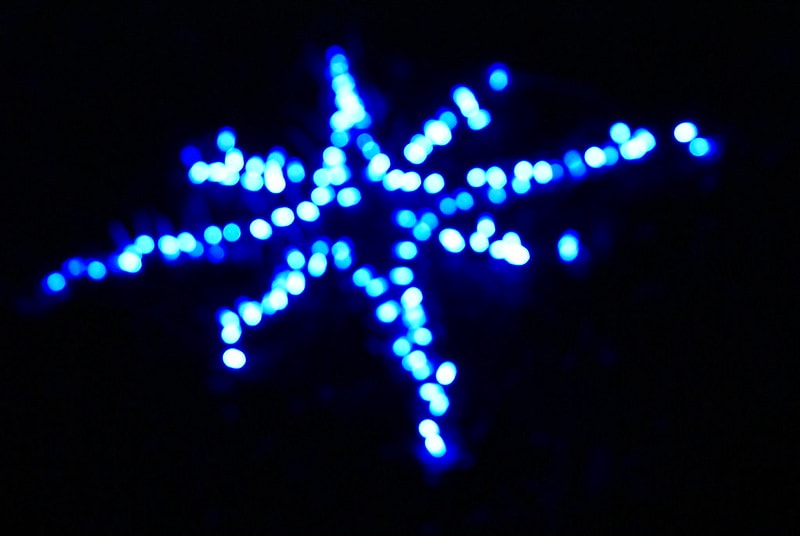 Christmas star CC by Bob Larrick